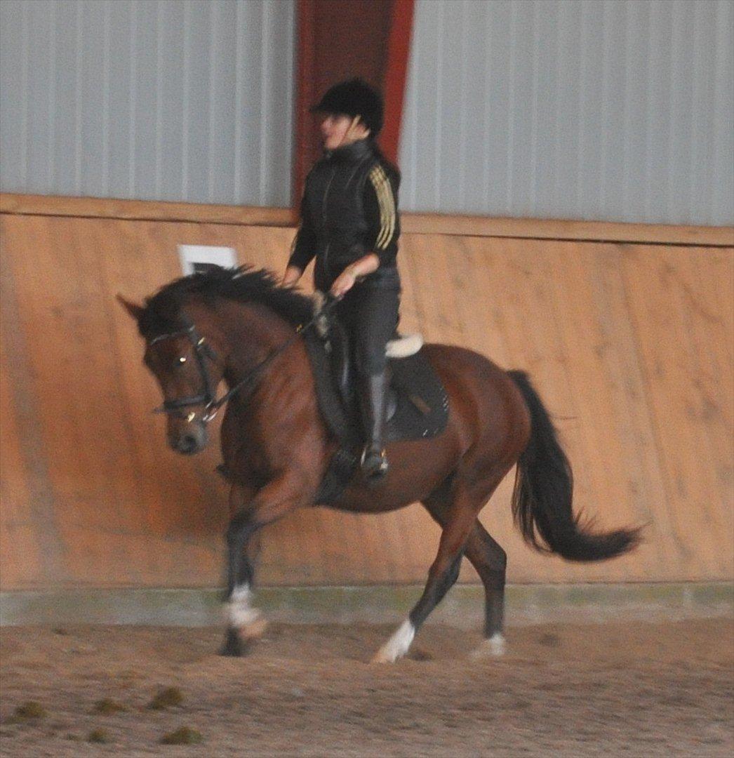 New Forest Angelina Bay {my'girl}  billede 12