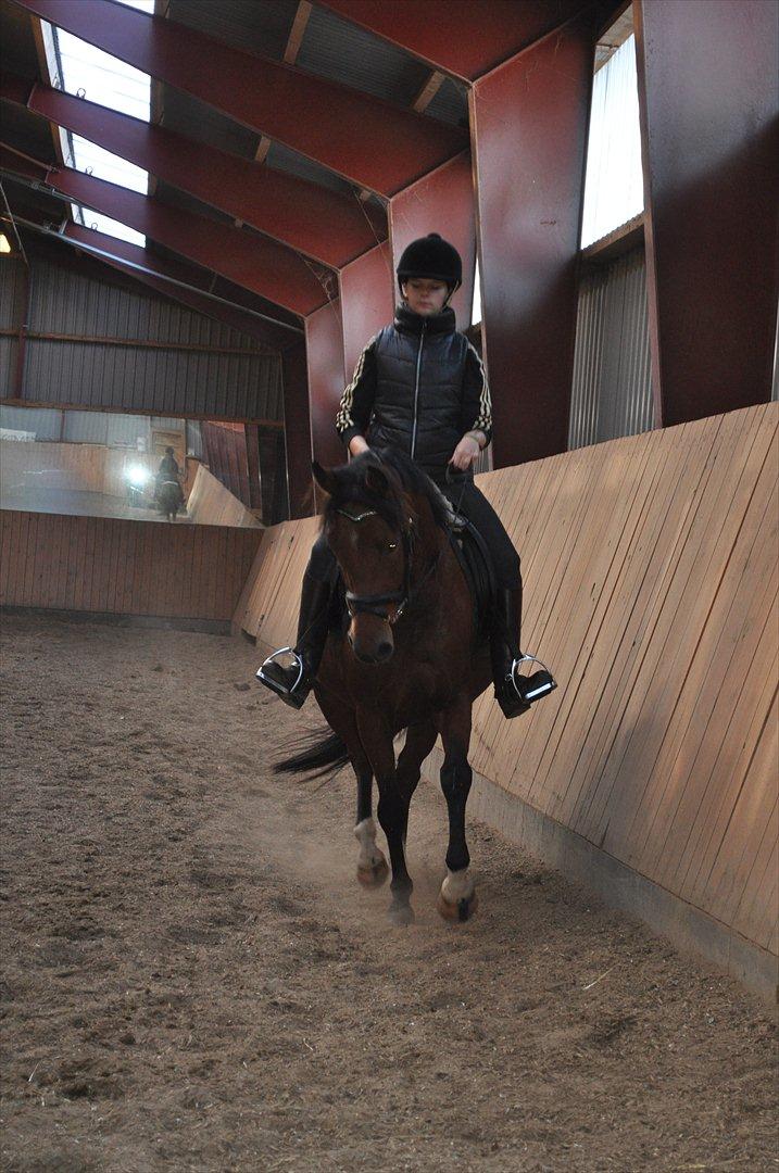 New Forest Angelina Bay {my'girl}  billede 13