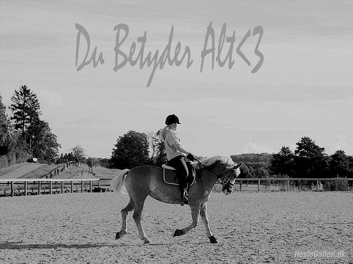 Haflinger Studgårdens Sally<3 *STJERNEN* Savnet :'(<3 - Do you do what you did when you
did with me?
Does she love you the way I can?
Did you forget all the plans 
that you made with me? 
'cause baby I didn't!

I Miss You Like Hell <3<3 billede 2