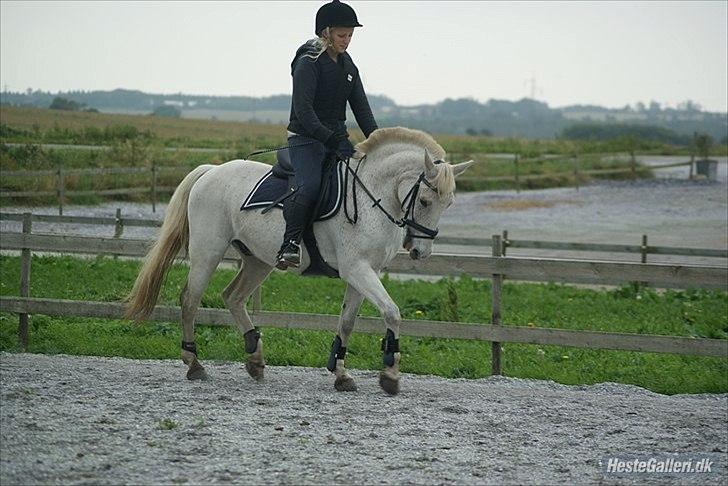 Anden særlig race Micky <3 - Opvarmning til en hyggelig springtræning, en weekend jeg var hjemme og besøge Micky-prinsen i september 2011 :)  billede 18