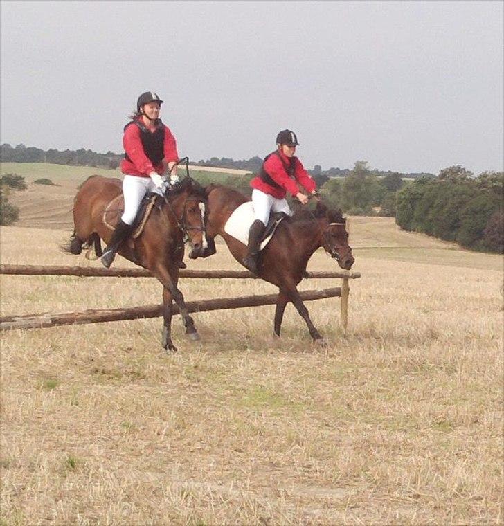 DSP Kahsmir SOLGT billede 10