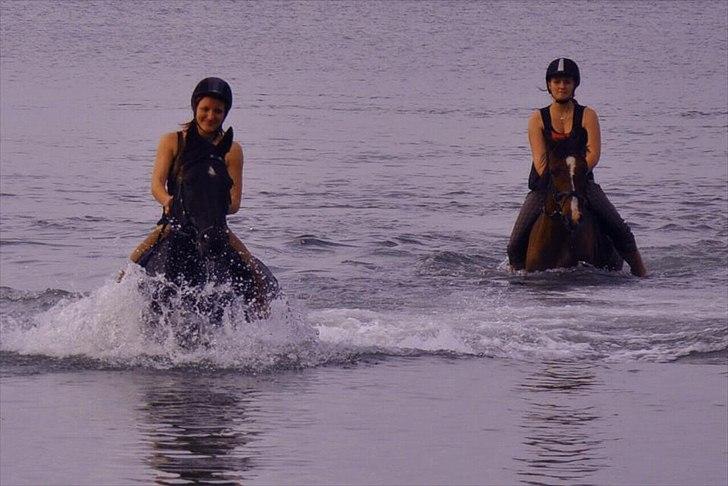 DSP Kahsmir SOLGT billede 11