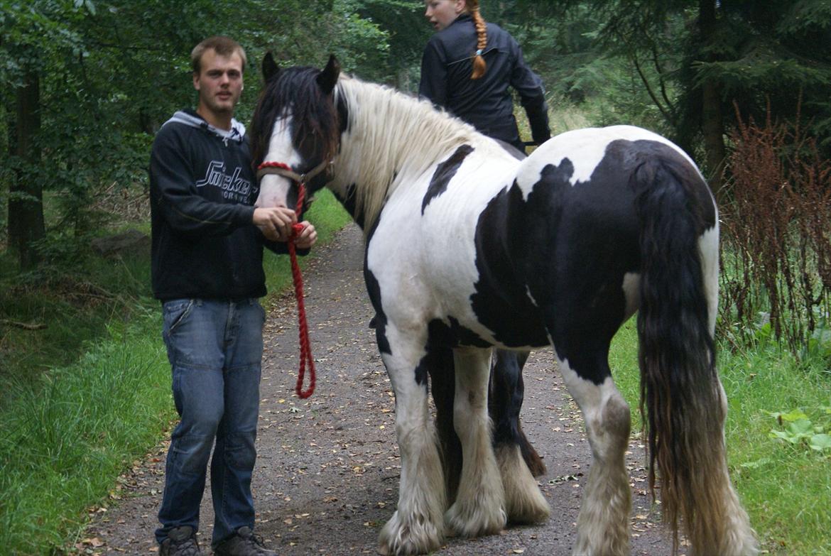 Tinker Highway *hingst* - Den første tur i skoven:) billede 3