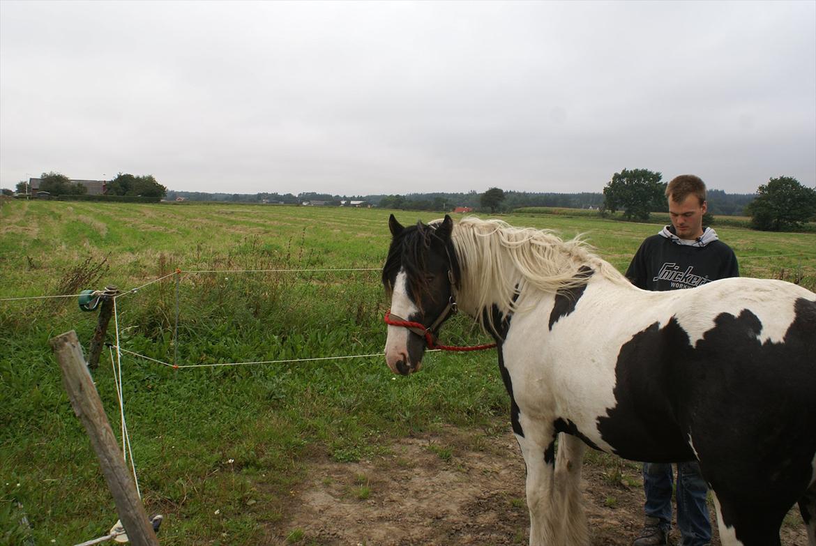 Tinker Highway *hingst* - Nej, kamera! Stod ellers lige og nød udsigten:) billede 4