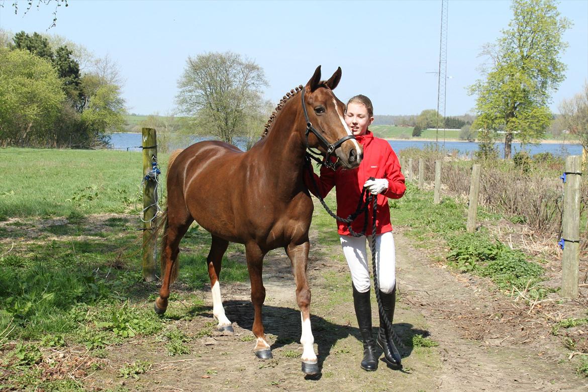 DSP Maj I af Lergraven billede 4