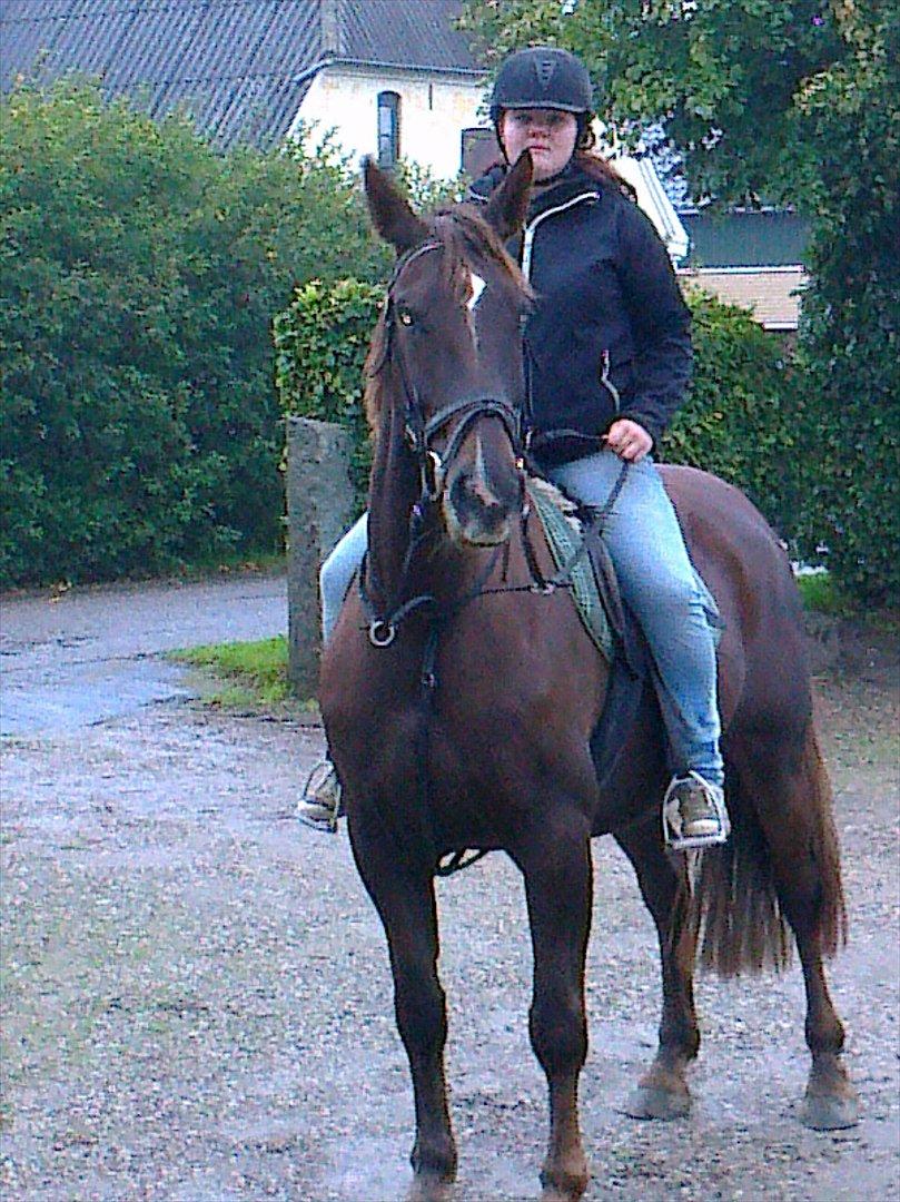 Oldenborg Sonny  <3 Savner min piige! billede 8