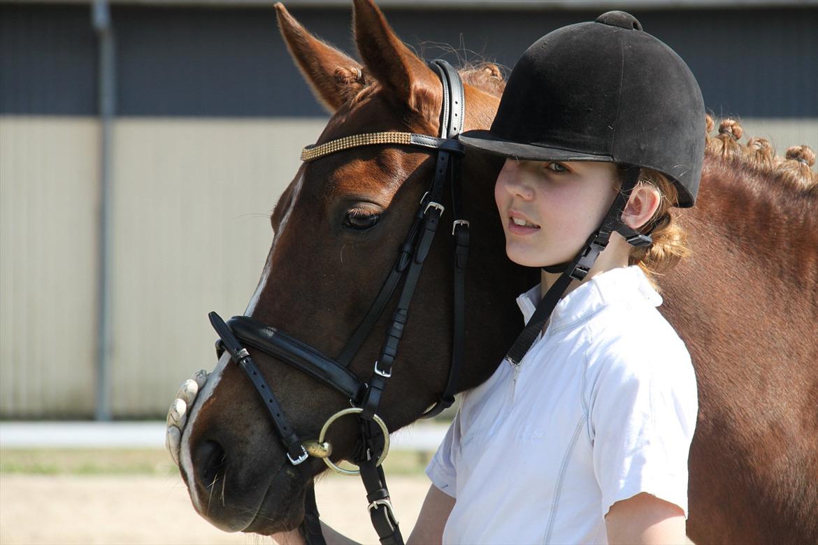 DSP Maj I af Lergraven billede 7