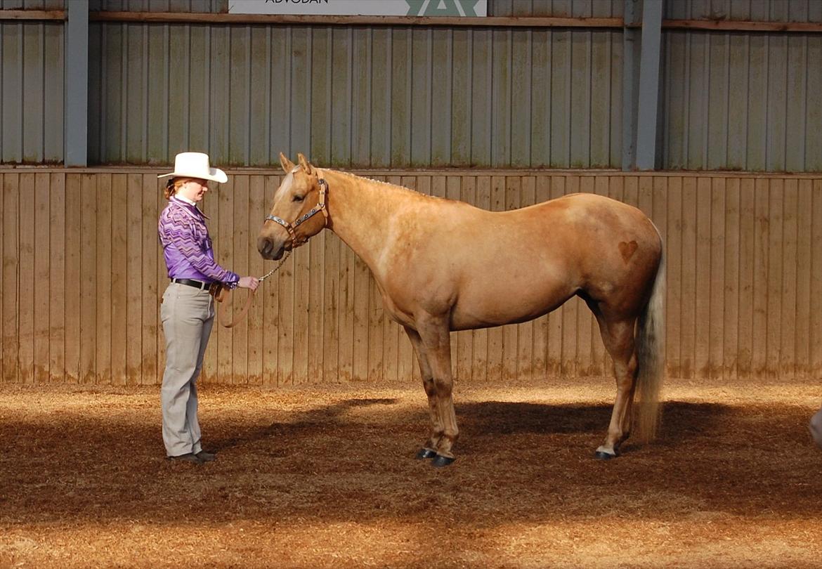 Quarter Tes Twinkie Winkie billede 11