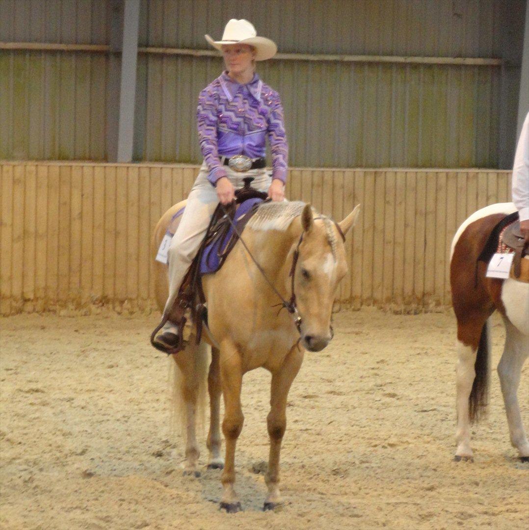 Quarter Tes Twinkie Winkie billede 12