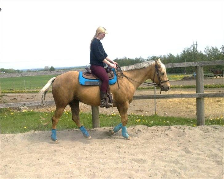 Quarter Tes Twinkie Winkie billede 13