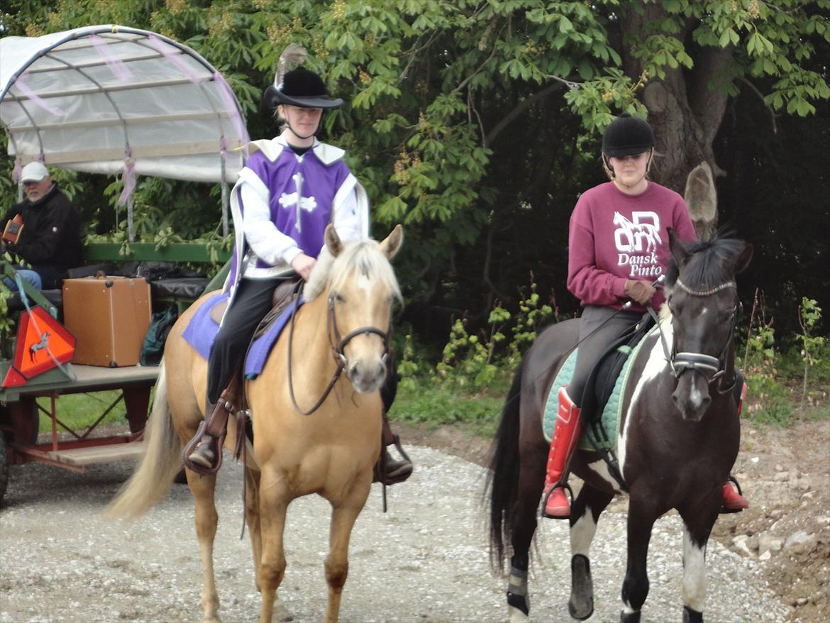 Quarter Tes Twinkie Winkie billede 15