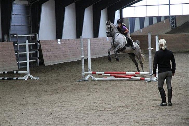 Arabisk fuldblod (OX) Fantasy biint el mokari ox //MY SOULMATE!<3// [tid - da jeg var på ridelejr i sommerferien 2011:-) billede 12