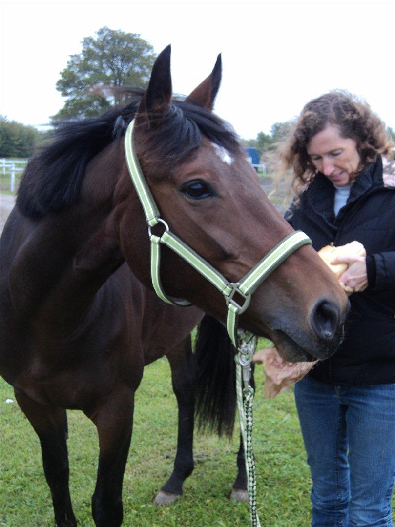 Anden særlig race Tatianna billede 4