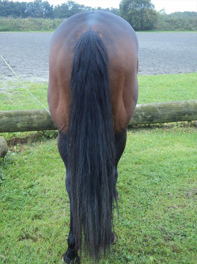 Anden særlig race Tatianna - Når enden er god, er alting godt :D! billede 8