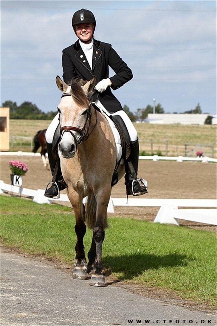 Anden særlig race Remember Me (Solgt) - D5 mesterskab i dressur, her i en LA1 <3
Billedet er taget og købt af CTfoto. billede 5