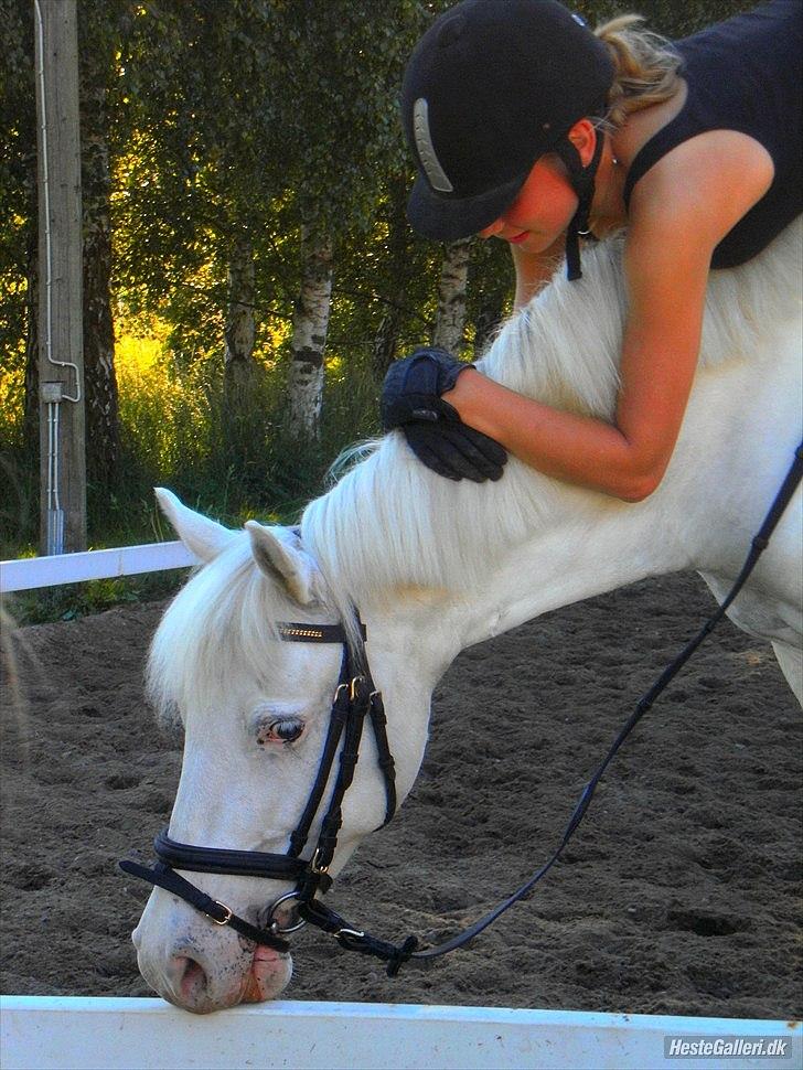 Anden særlig race Miss Mary - Velkommen! Til Marys profil. :) billede 1