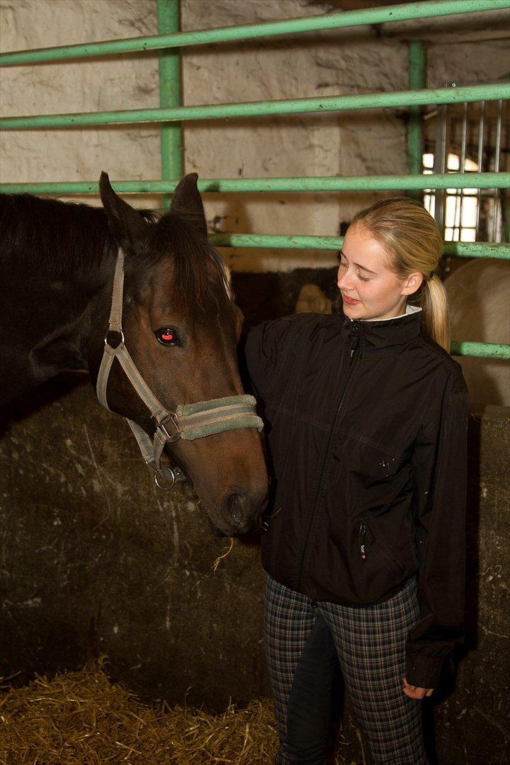 Anden særlig race Beauty - Beauty i sin nye boks med mig da hun lige er kommet :) billede 5