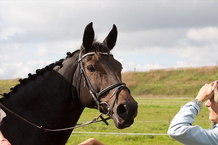 Anden særlig race Beauty - Beauty og Mette ;) billede 9