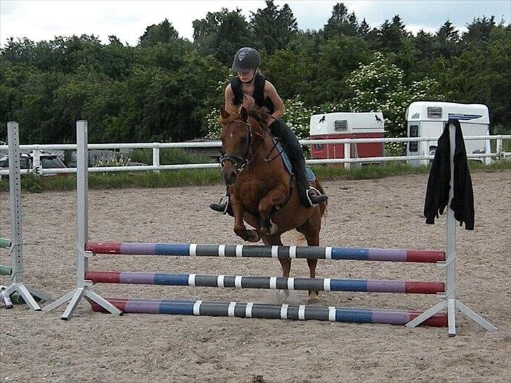 Anden særlig race Pasadena "tyksakken"<3. - Taget af: Ellen. billede 16