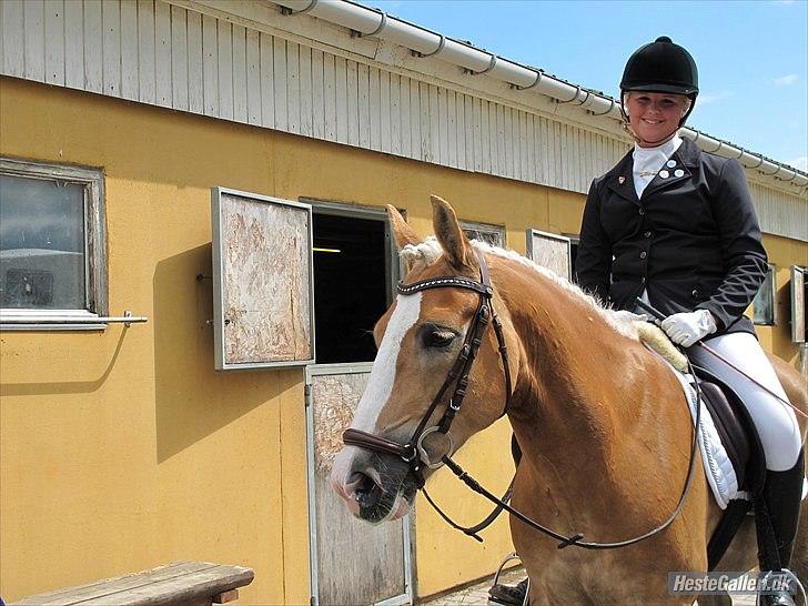 Haflinger Studgårdens Sally<3 *STJERNEN* Savnet :'(<3 - Du vil altid være kun min sally <33
I will never forget you <3 billede 15