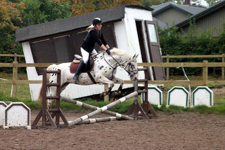 Knabstrupper Monica [tidligere springpart] - NYT
Springstævne på VEK... 60 cm.
(Mit første springstævne) billede 5