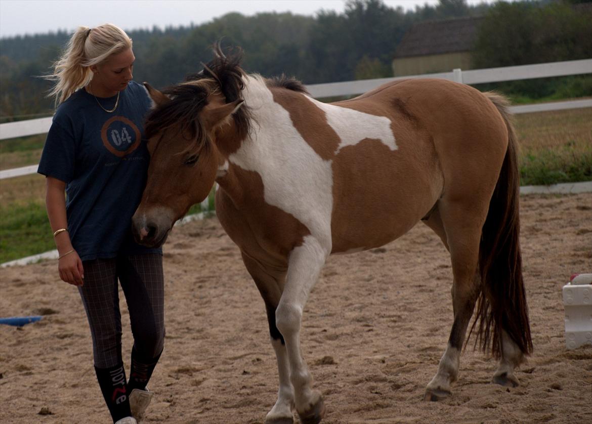 Anden særlig race Amigo - d. 21/09-2011
Drengen i mit liv♥♥ billede 19