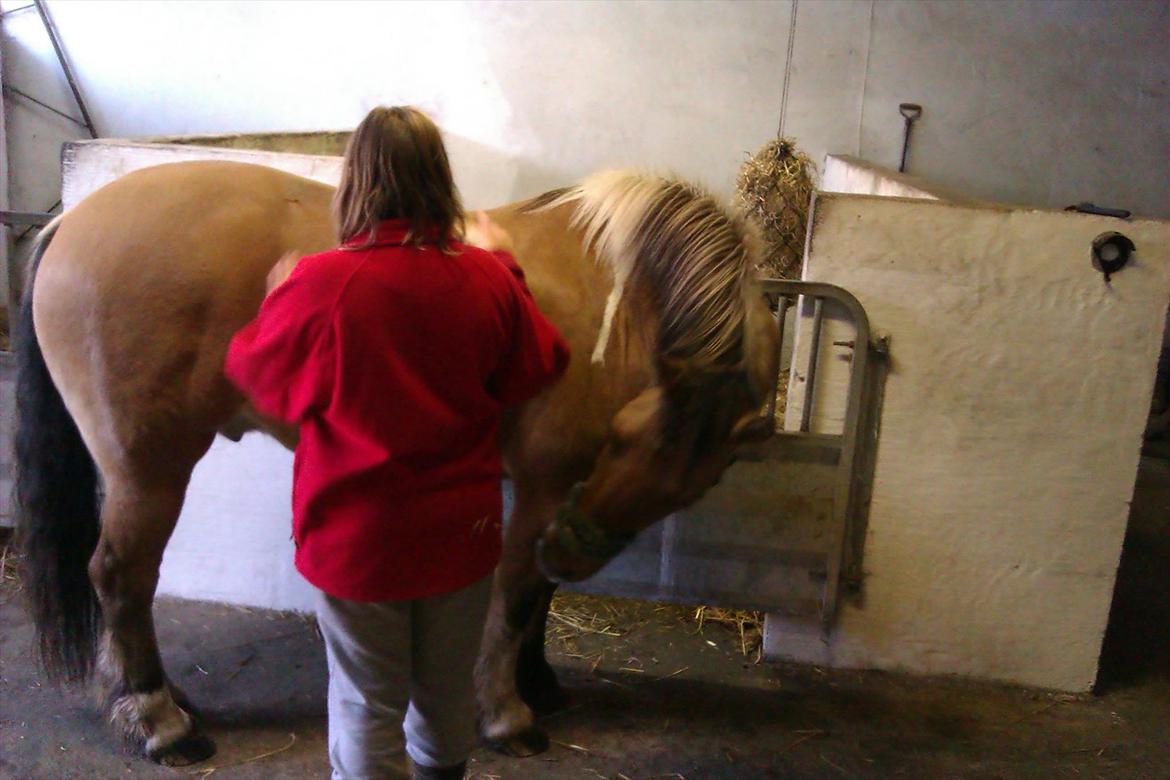 Anden særlig race B.S - B.S og min veninde. Han elsker at give et lille kram;-) billede 4