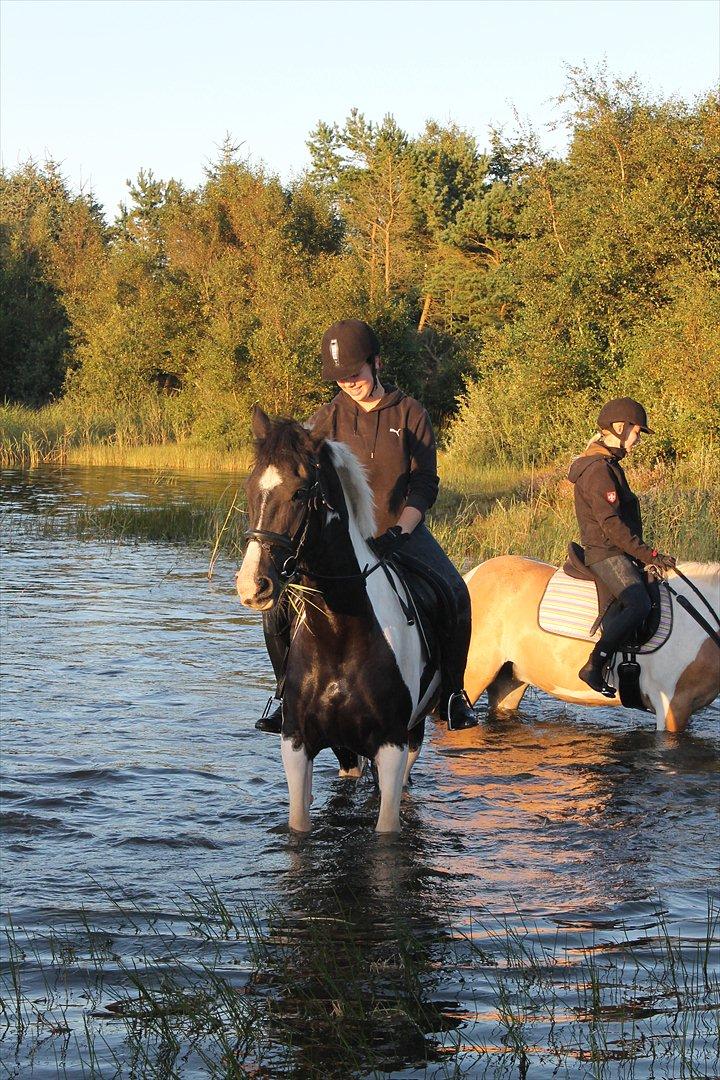 Anden særlig race Anastacia - Ude og bade :-D billede 6