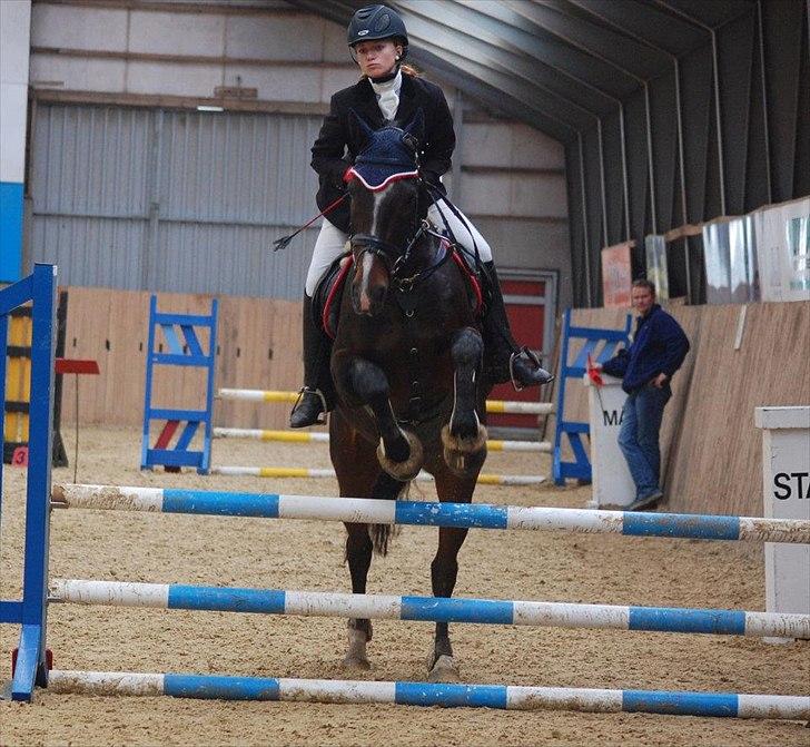 Anden særlig race A'strix - //Foto: Annika Larsen// LE d. 18/9-11 billede 3