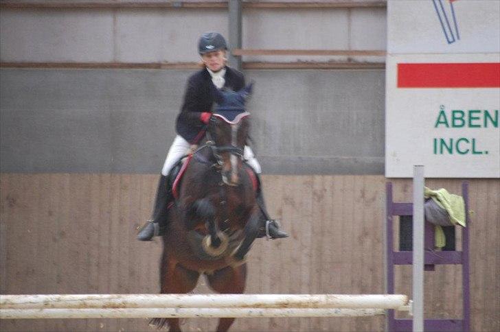 Anden særlig race A'strix - //Foto: Annika Larsen// LE d. 18/9-11 billede 4