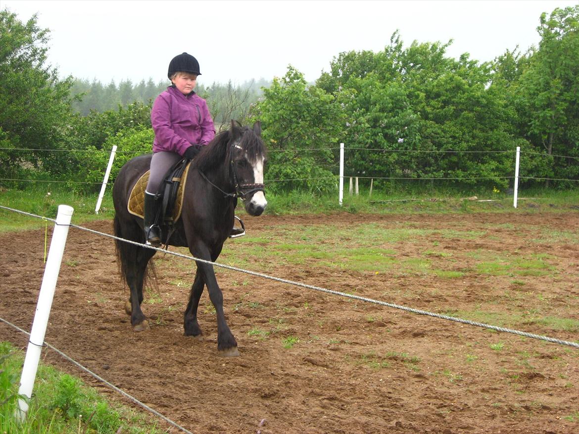 Anden særlig race Pondus - <3 billede 3