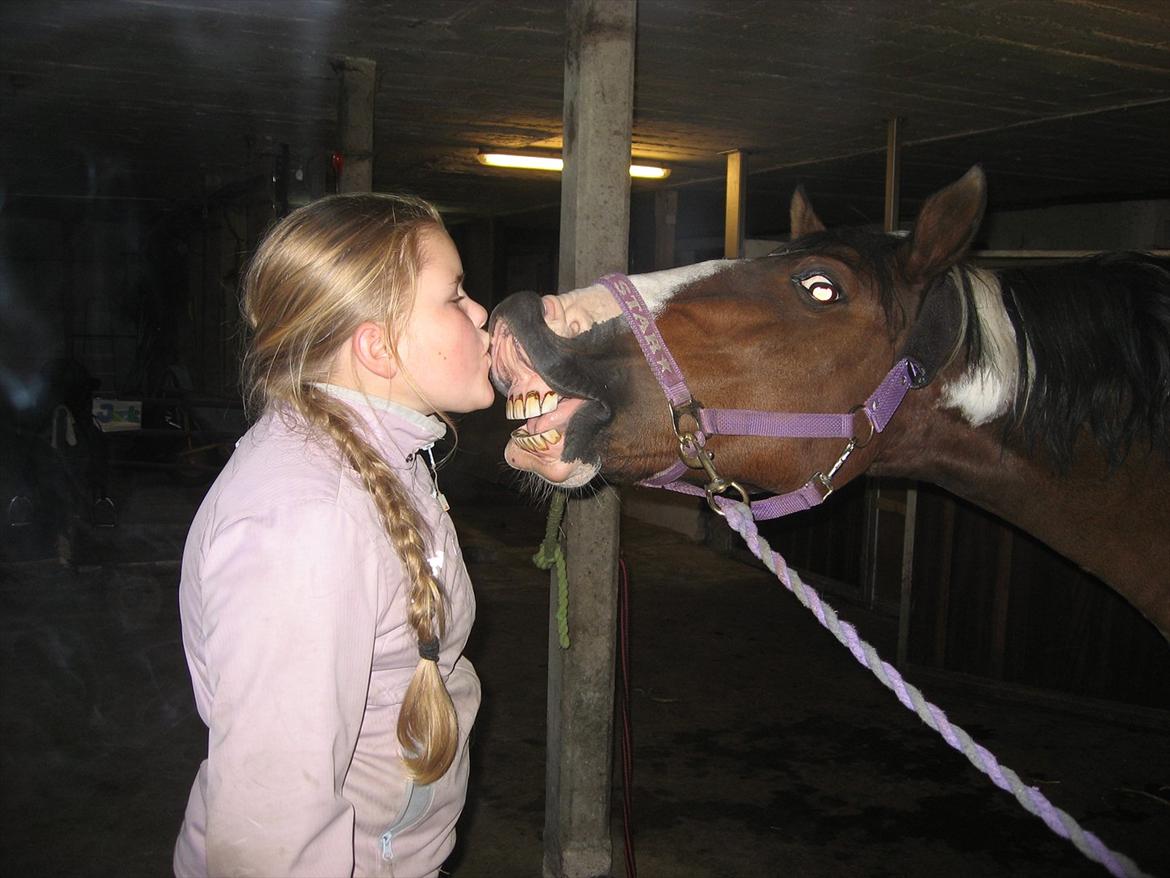 Anden særlig race Johana - jeg kan også kysse på komando billede 17