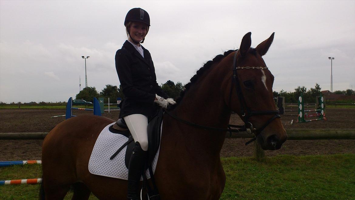 Trakehner Papaya Runehøj billede 2