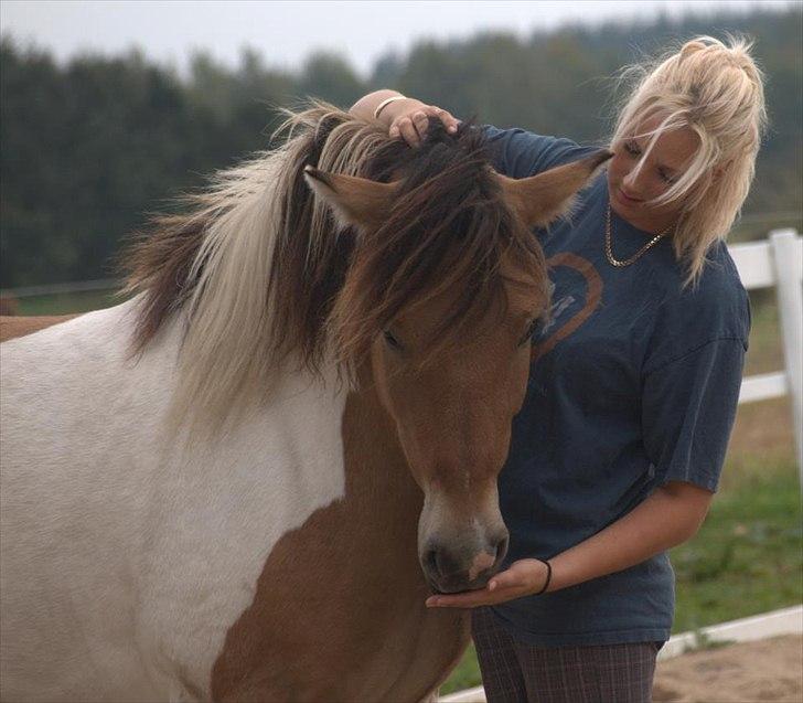 Anden særlig race Amigo - hmm, han er dejlig♥♥♥♥♥ billede 7