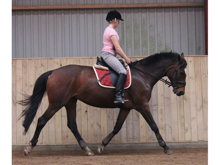 {{currentPhoto.altText}} billede {{currentPhoto.number}}