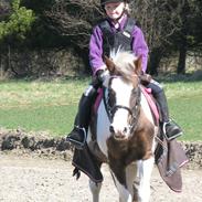 Anden særlig race Dyrekærgårds Indian Bahari