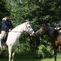 Sportsaraber (A) Al-mahallah [Part] 'R.I.P'