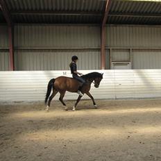 Anden særlig race Frk. Smilla<3 ~savnet~