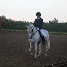 Anden særlig race Star B-PONY!