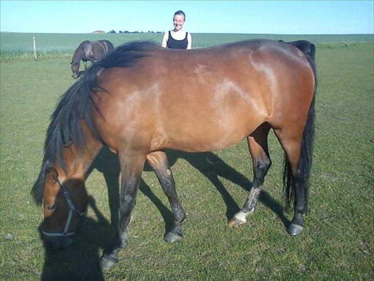 DSP yasmin billede 7