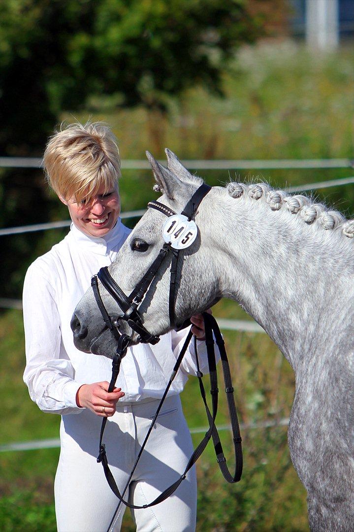 DSP Hibbuhl Sika billede 18