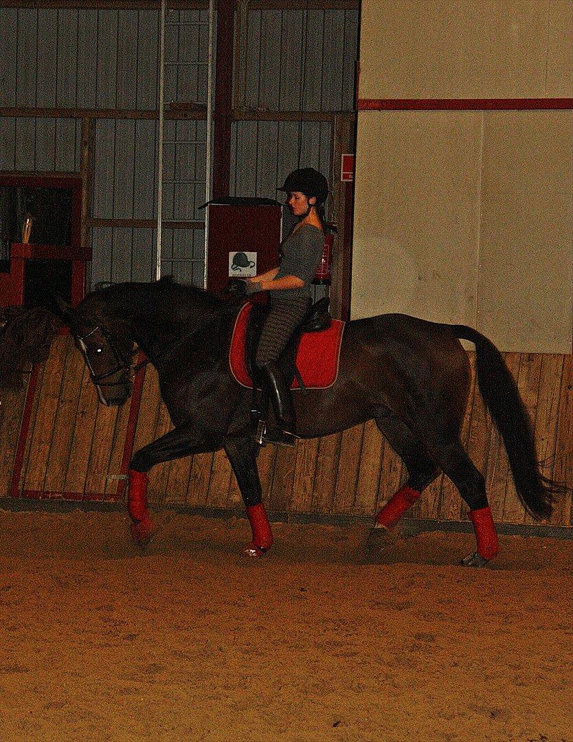 Dansk Varmblod Kærsholms Landkaster - Ridning på Ranum Efterskole || 22. september 2011 || Foto: Lisa Hansen billede 12