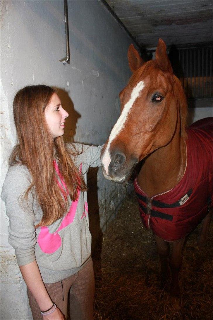 Anden særlig race Simba Stenfeldt <3 - I'll be standing right next to you.. <3 billede 3