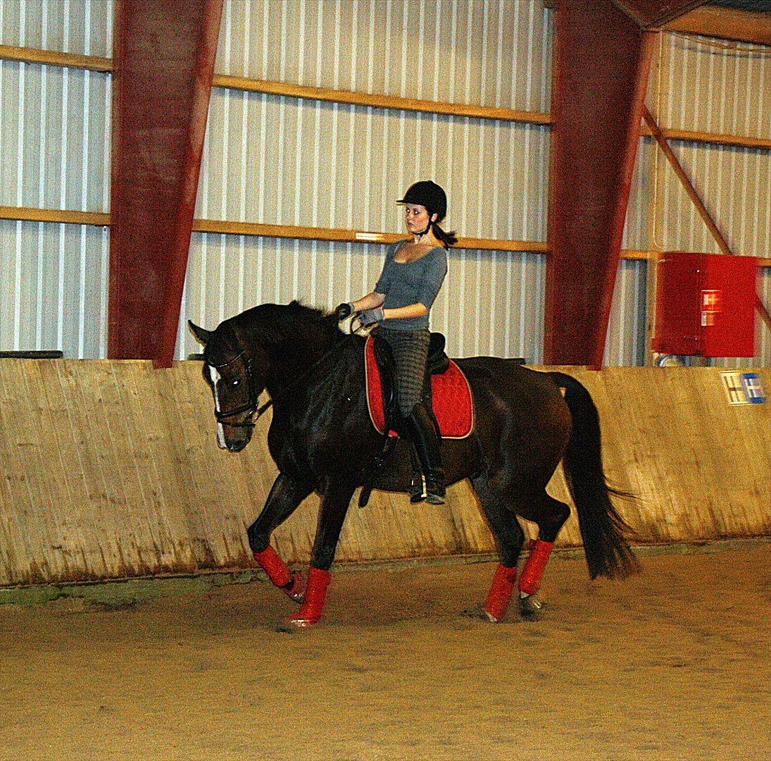 Dansk Varmblod Kærsholms Landkaster - Ridning på Ranum Efterskole || 22. september 2011 || Foto: Lisa Hansen billede 13