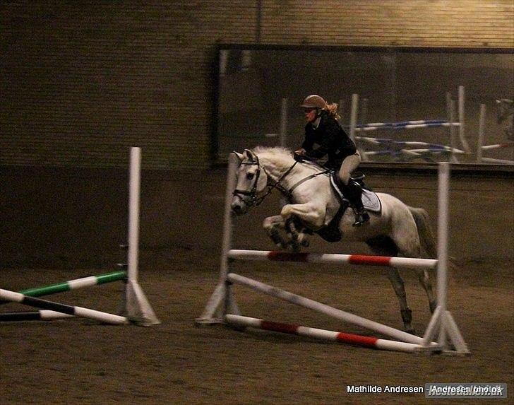 Tysk Sportspony Thengels Knight - spring træning :)
- Taget af Mathilde Andresen billede 14