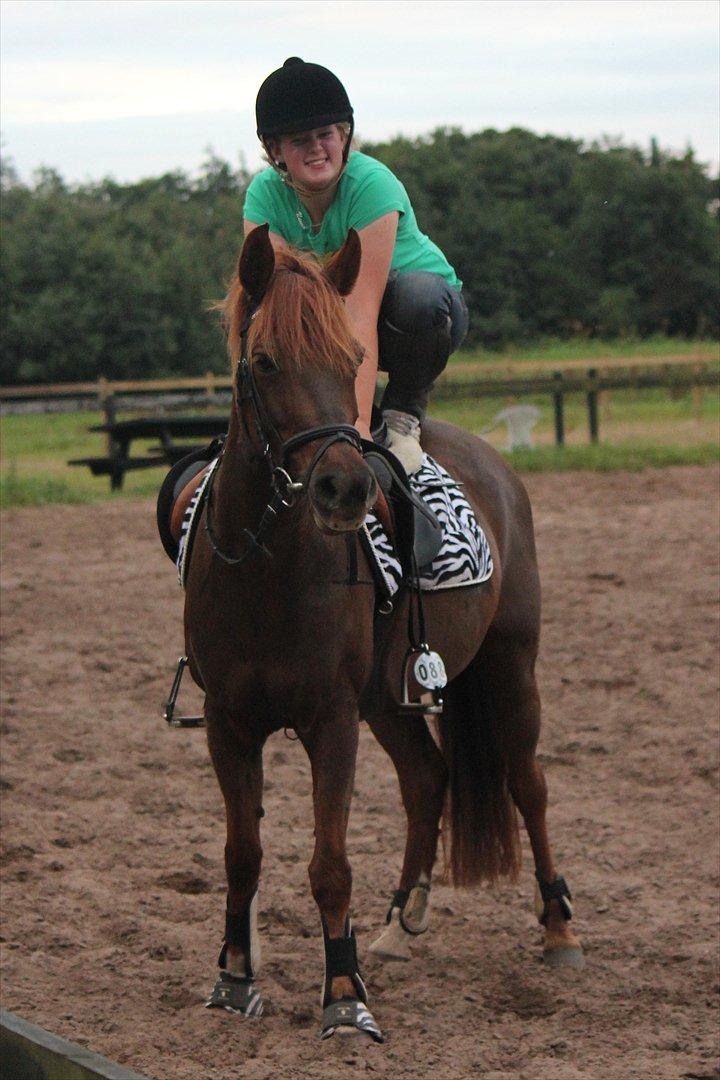 DSP Chanell billede 3