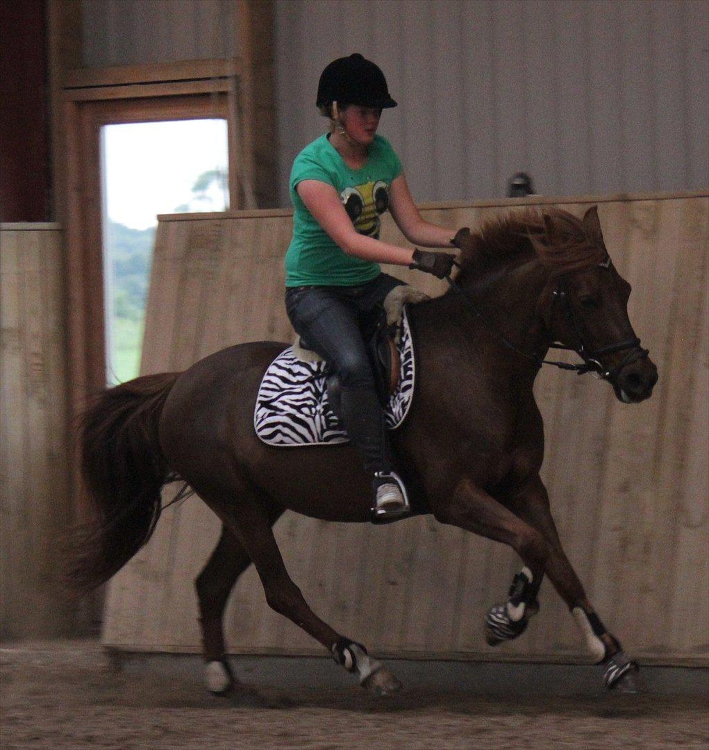 DSP Chanell billede 15