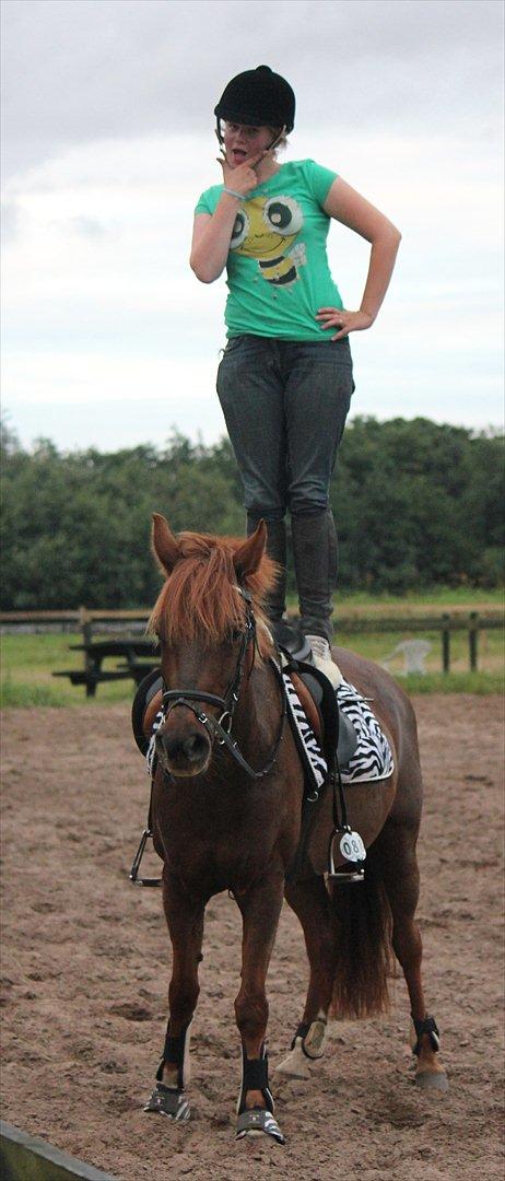 DSP Chanell billede 16