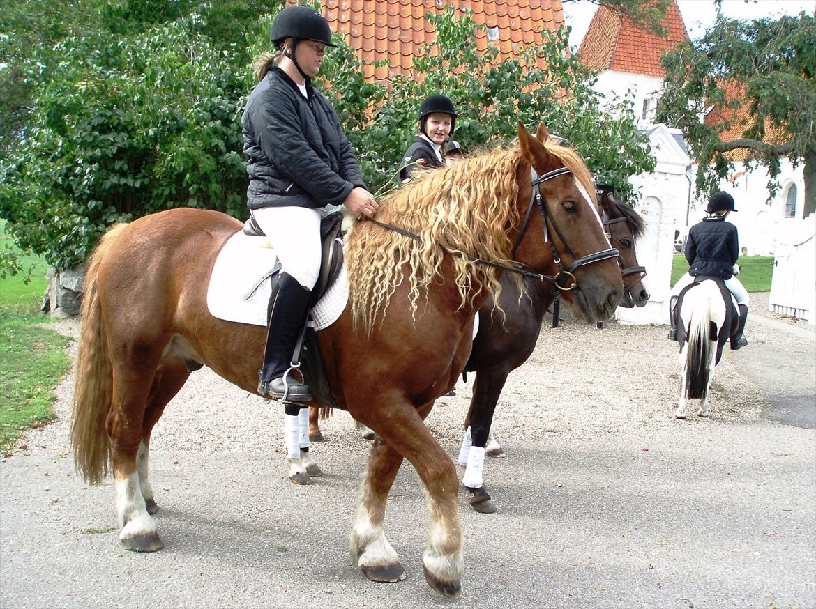 Schleswiger UNIK - Her er vi til Martin og Anjas bryllup. billede 10
