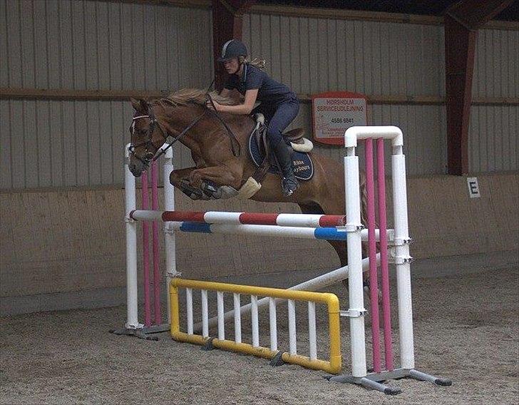 Anden særlig race Firebird - Taget af Mie Rudbeck. Chris og Birdy springer 120-125! Dygtige pony (; Sommer 2011 billede 11